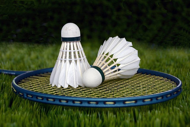 Badminton Court