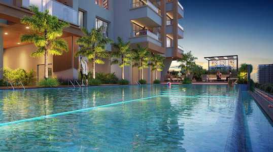 Luxury Swimming Pool